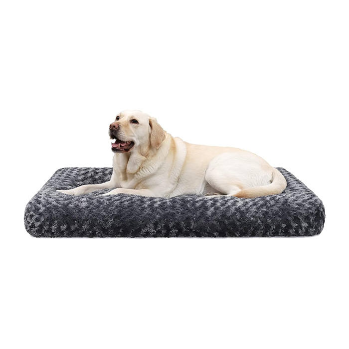 Golden retriever on dog bed