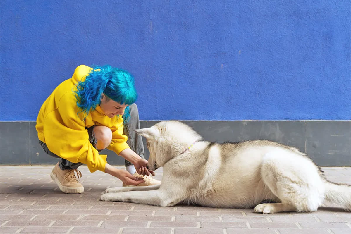 a woman with blue hair gives her dog a treat after they lie down