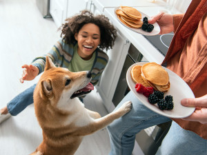 Man and woman eating pancakes with blackberries while dog begs.