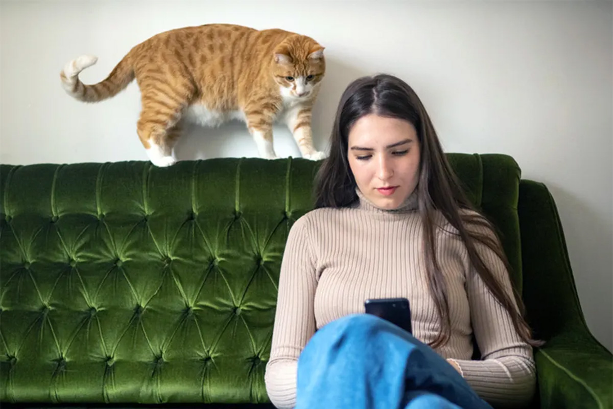 woman looks at her phone on the couch while cat looks on