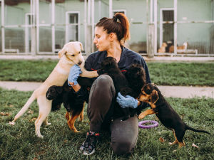 Woman holding dogs at an animal shelter