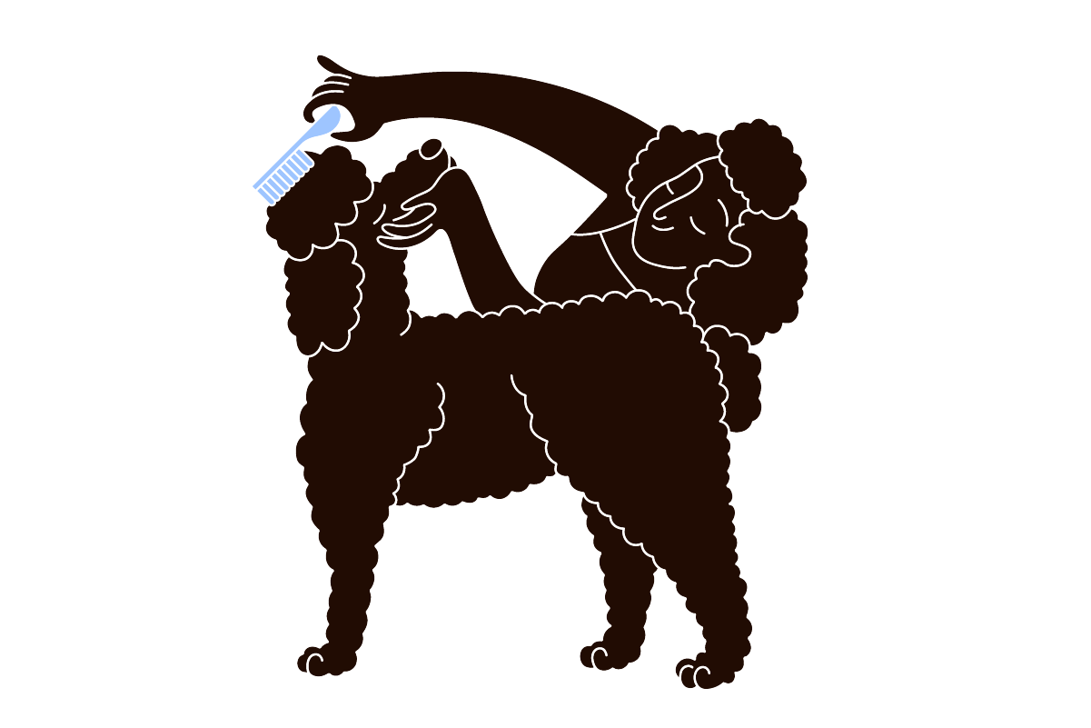 pet parent combs dog for fleas