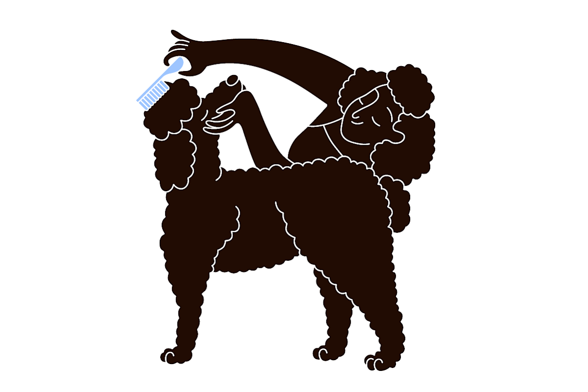 pet parent combs dog for fleas