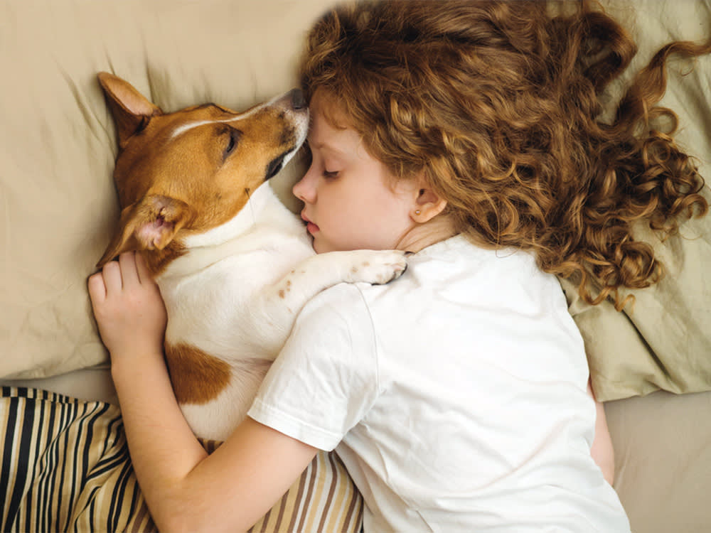 Sweet curly girl and jack russell dog is sleeping in night.