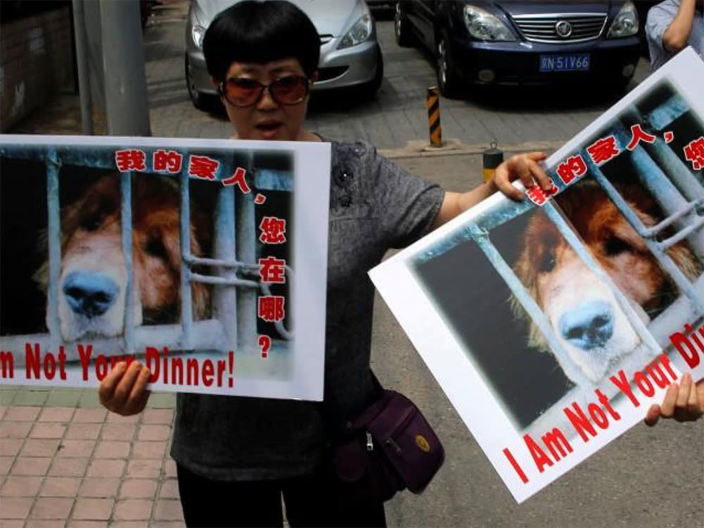 Animal activists hold banners against Yulin Dog Meat Festival in front of Yulin City Representative office in Beijing, China, June 10, 2016. 