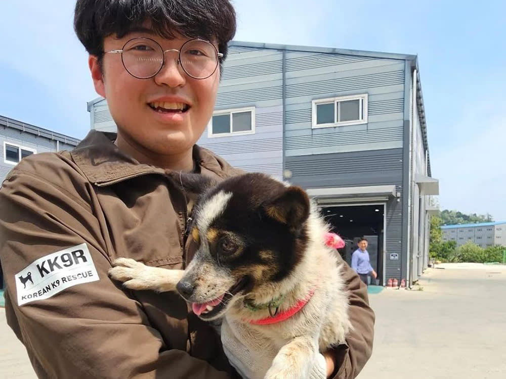Korean K9 rescue volunteer holding small dog.