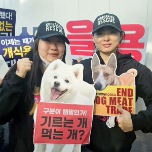 Korean K9 rescue volunteers.