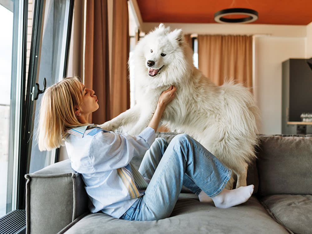 Woman playing indoors with her big white fluffy dog.