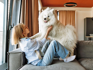 Woman playing indoors with her big white fluffy dog.