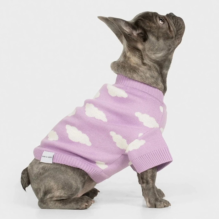 Bark and Tumble Never Stop Dreaming Crewneck