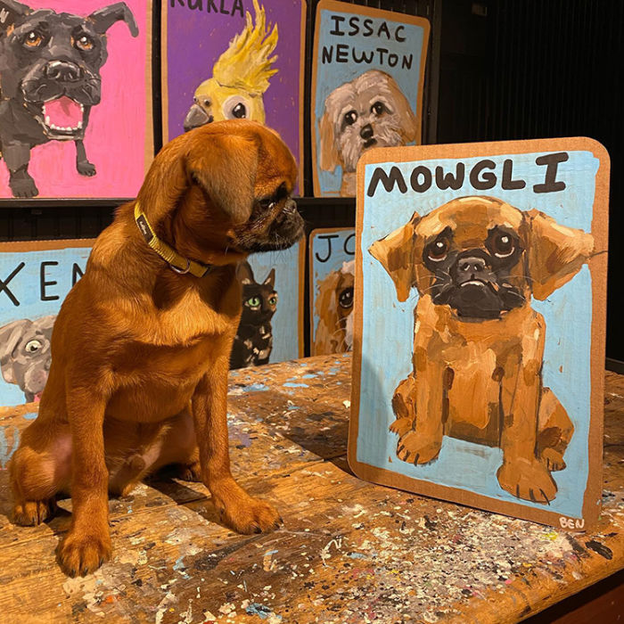 A small tan dog looking at a custom dog portrait of him with the name MOWGLI painted across the top
