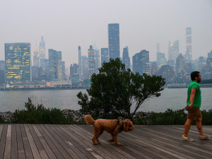 A man walks his dog Tuesday in New York City.