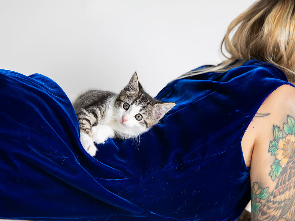 Hannah Shaw with a kitten resting on her back