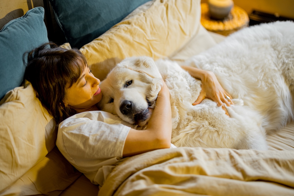 a woman with brown hair lies in bed cuddling a huge golden retriever 