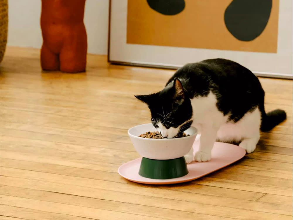 Cat eating out of a contemporary, design-forward cat food dish made by Cat Person