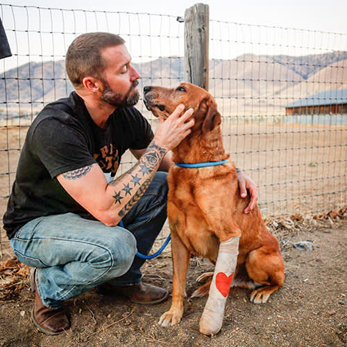 Zach Skow pets a bandaged dog