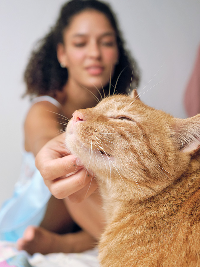 Woman petting her orange cat in bed.
