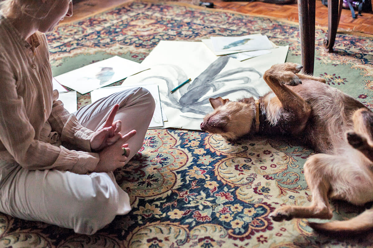 dog rolls around on the floor near art