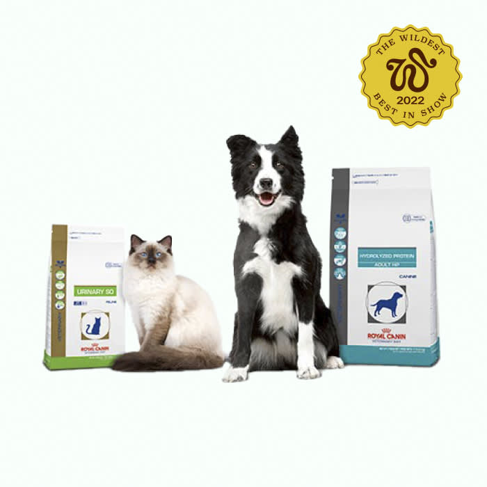 royal canin food bags with dog and cat