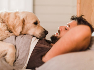 Man and golden retreiver laying on stomach looking at each other in bed