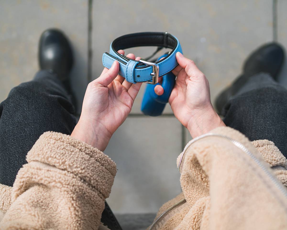 person holding an empty dog collar and lead