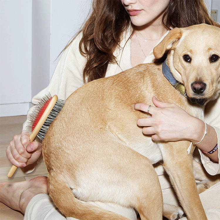 A woman brushing a dog with a dog brush. 
