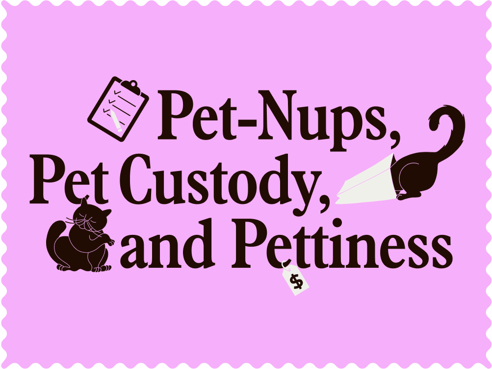 Pet custody