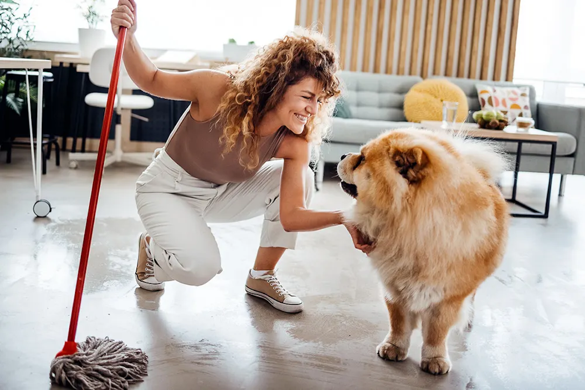 Person cleaning the floor with a dog