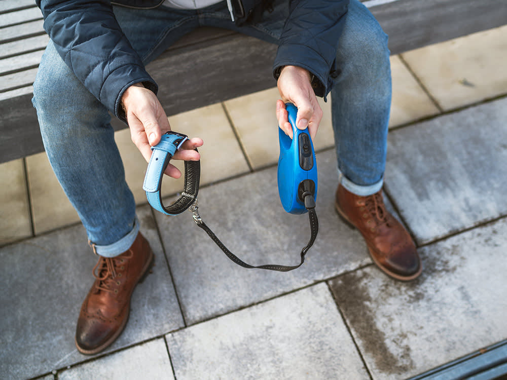 man holding dog lead and collar