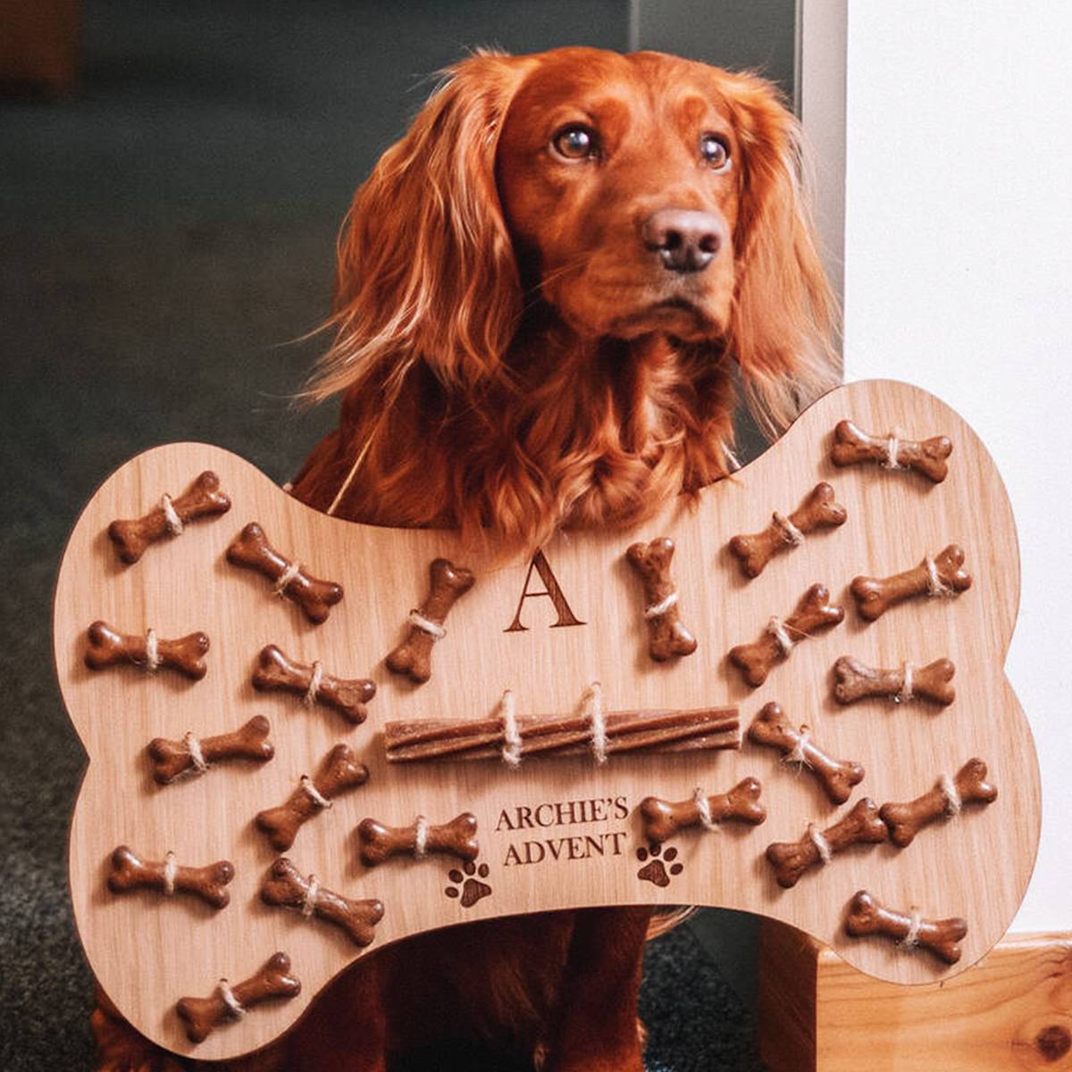 Stag Design Personalised Dog Advent Calendar