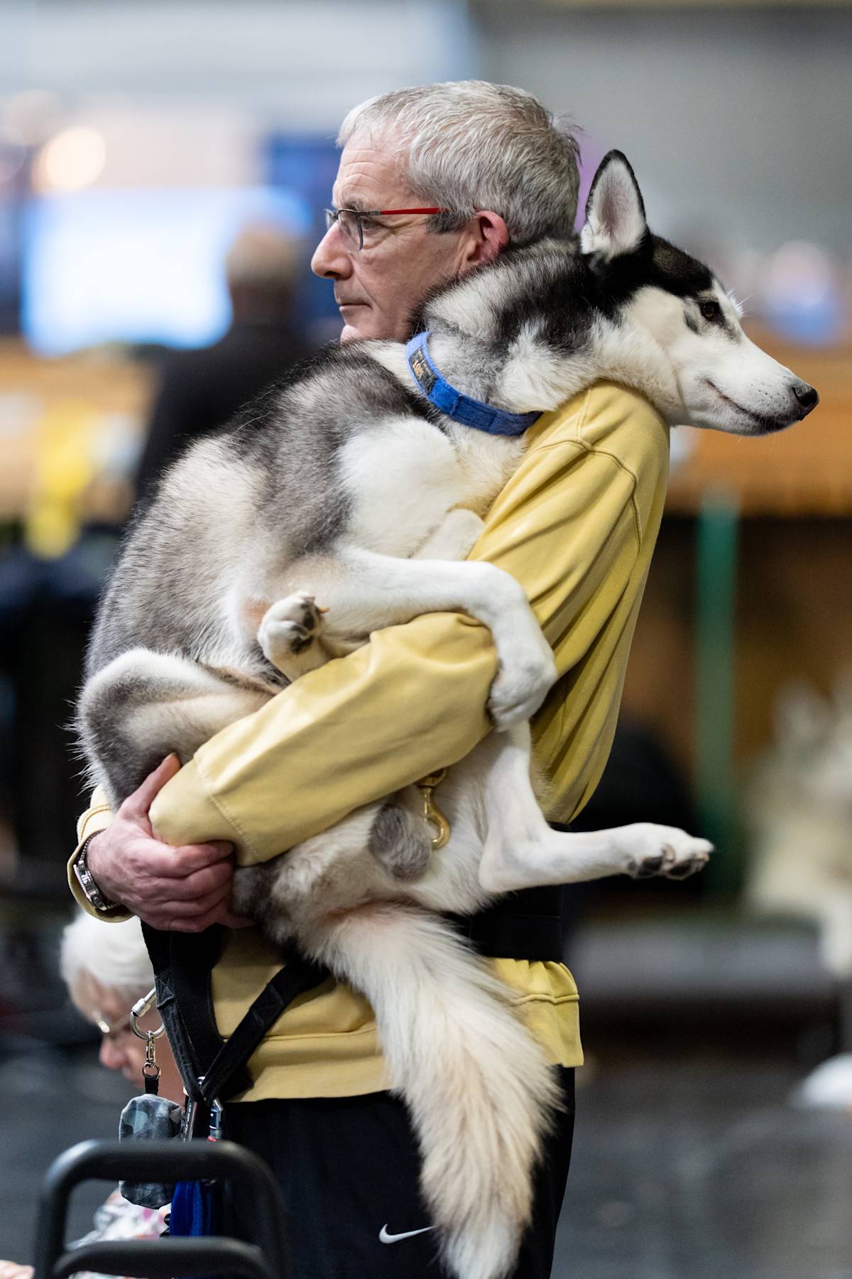 man holding a husky and hugging