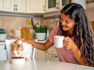 Woman petting cat while cat eats from a bowl.