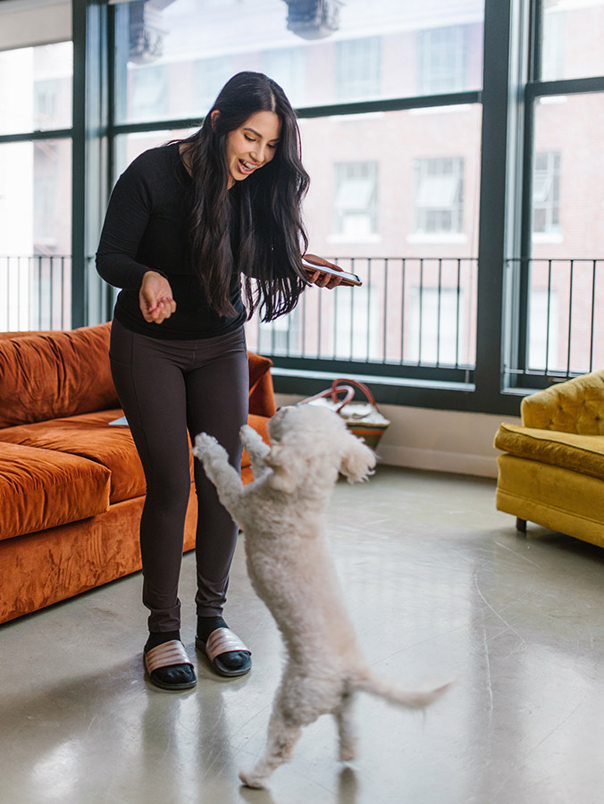 Nose Work Training for Your Dog May Be the Best Activity You Haven't Tried  Together Yet