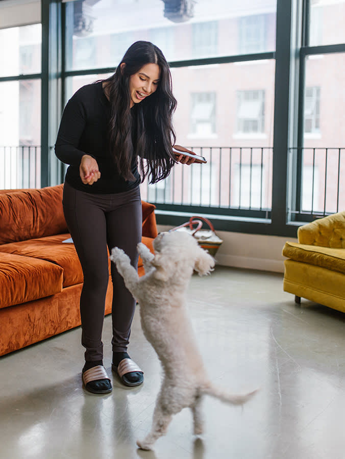 Pet parent finding things to do at home with dog