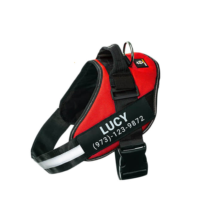 Doggykingdom no-pull harness