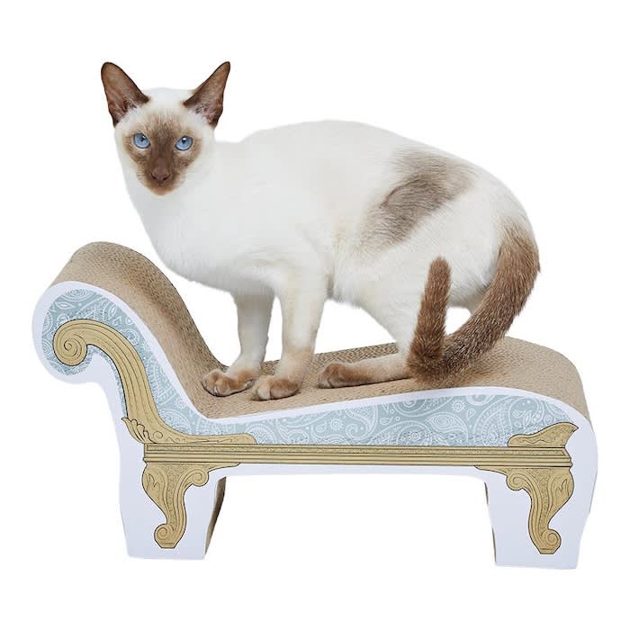 a siamese cat sits on a cardboard chaise longue