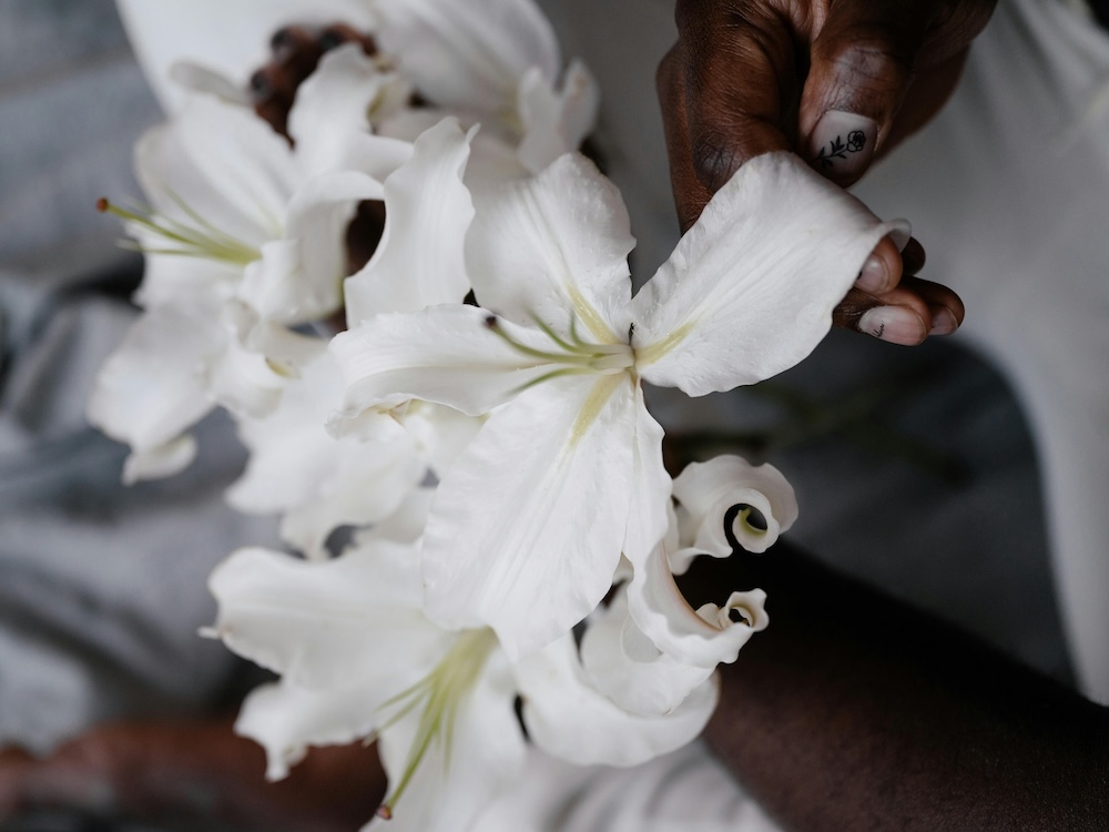 a picture of lilies with a hand touching them
