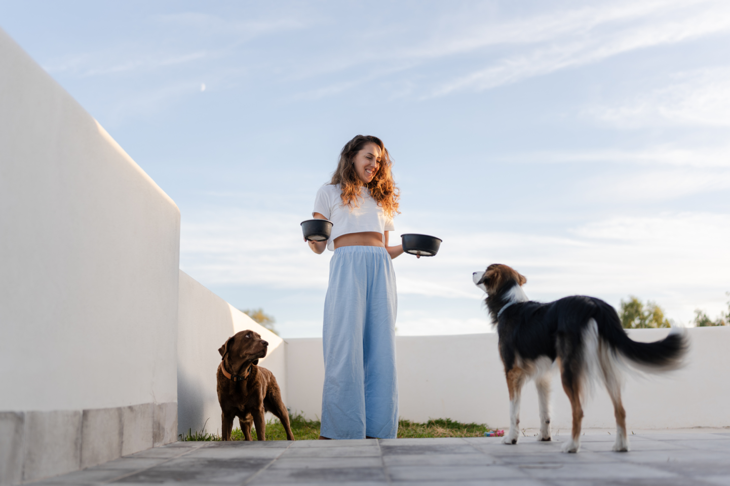 A woman feeding two dogs outside