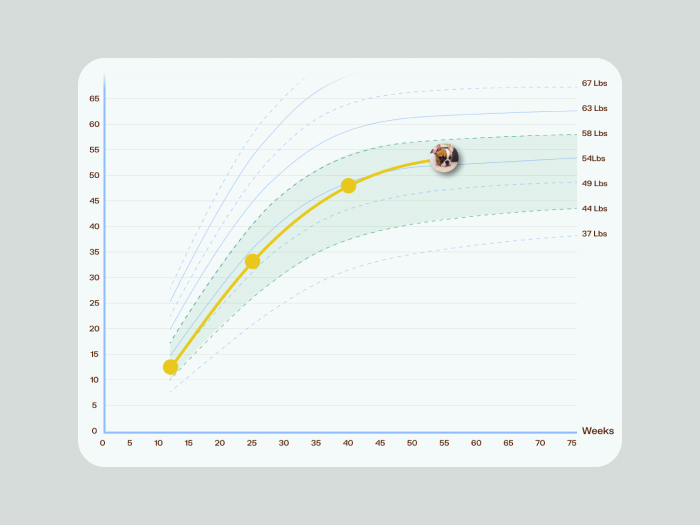Screenshot of the growth chart tool.