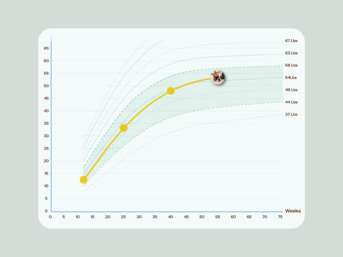 Screenshot of the growth chart tool.