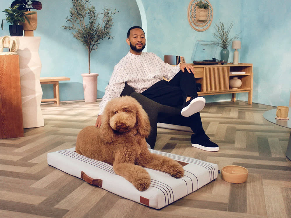 John Legend with a dog and a Lay Lo bed