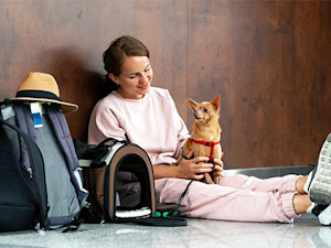 Woman getting ready to travel with her small brown dog at the airport.