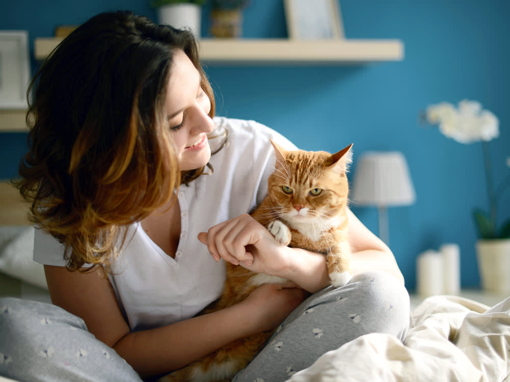 Woman trying to hug a grumpy orange cat.