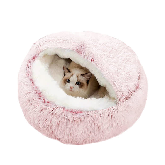 pink cat cave