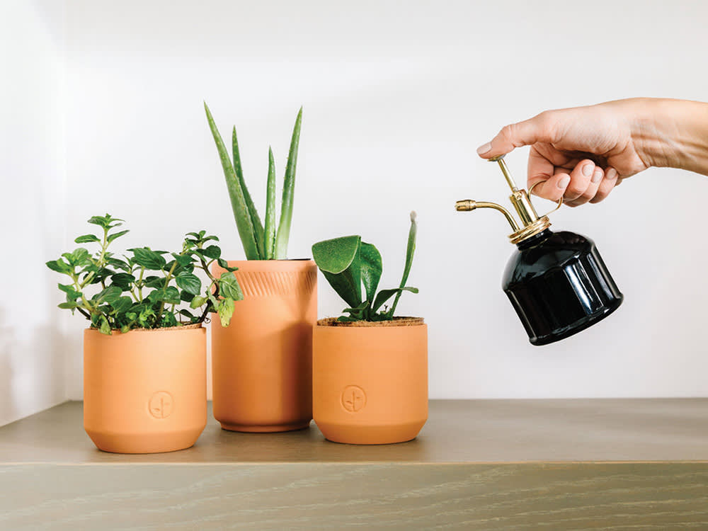 A Terracotta kit with planters. 