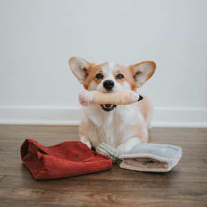 lambwolf back to school set