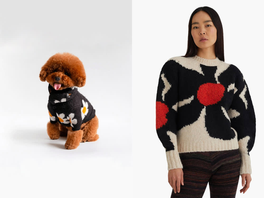 owner and dog matching flora sweaters; a small brown dog in a black floral top, a woman in a black floral top