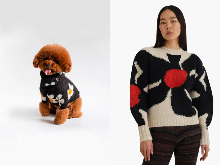 a small brown dog in a black floral top, a woman in a black floral top