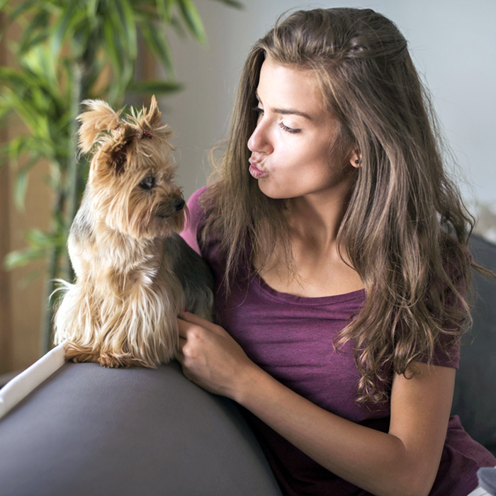Woman blowing on her dog at home.