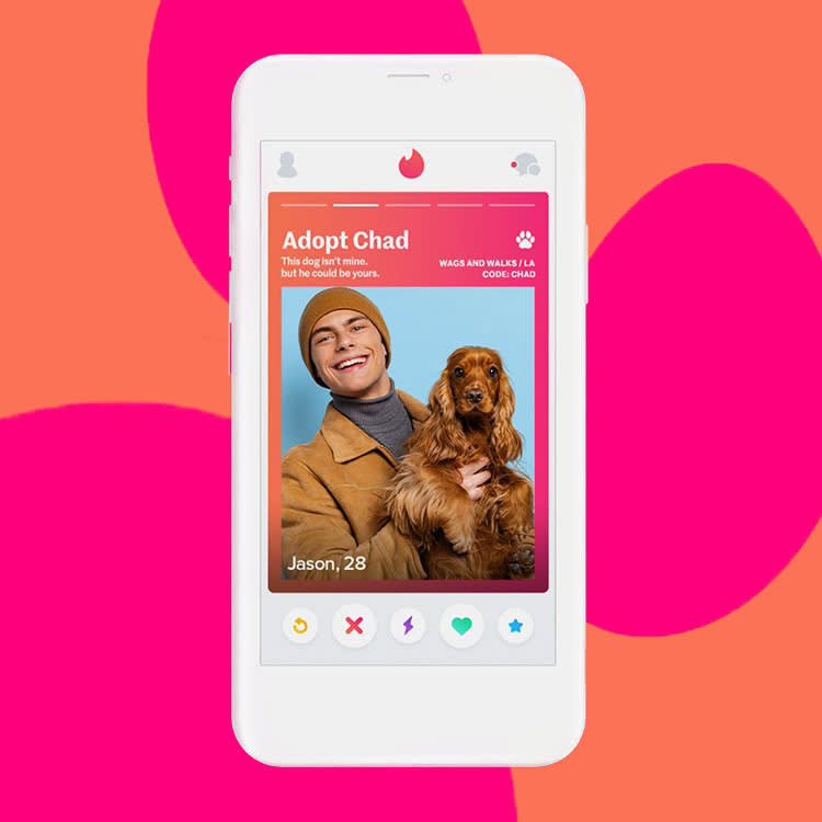 Tinder's New Feature Allows Users to Add Adoptable Dogs to Their Profiles ·  The Wildest